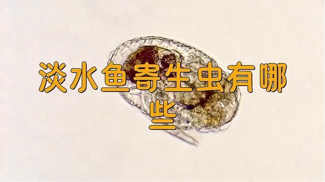 哪些蟲子對龍魚有害？（共參考16篇資料,02:00/02:00）
