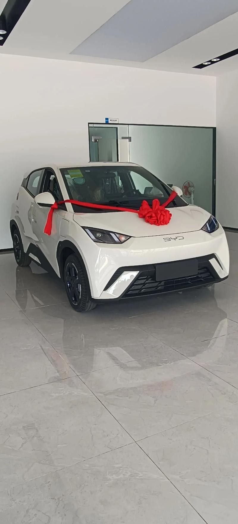 有哪些型號推薦（2025年值得關注的車型推薦）