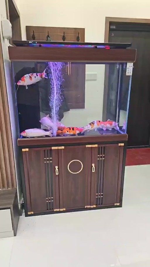 歐鉑龍魚缸有哪些型號可選？（歐鉑龍魚缸安裝）