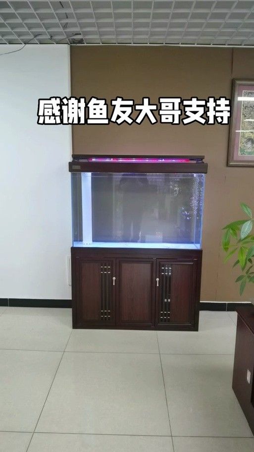 歐鉑龍魚缸有哪些型號可選？（歐鉑龍魚缸安裝）