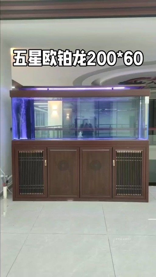 歐鉑龍魚缸有哪些型號可選？（歐鉑龍魚缸安裝）