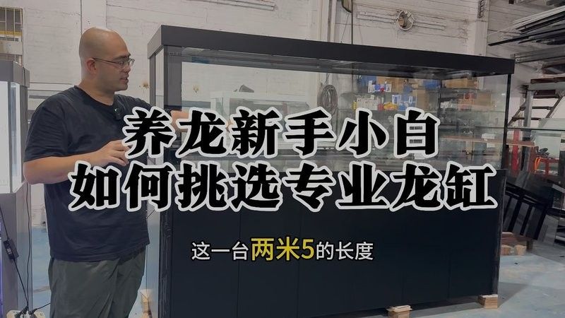 推薦幾款適合養(yǎng)龍魚的魚缸品牌（養(yǎng)龍新手如何挑選專業(yè)龍缸龍魚缸）