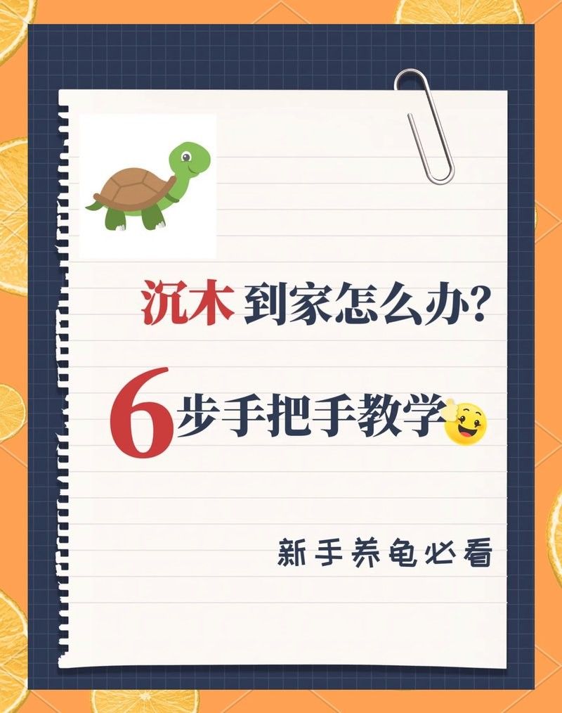 沉木如何進行預處理？（ai智核新買的沉木怎么處理才能入缸萌寵護理師）
