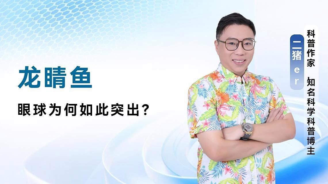 如何判斷龍睛魚的質(zhì)量？（判斷龍睛金魚的質(zhì)量需綜合其形態(tài)特征、體色表現(xiàn)及健康狀況） 如何判斷龍睛魚的質(zhì)量？（判斷龍睛金魚的質(zhì)量需綜合其形態(tài)特征、體色表現(xiàn)及健康狀況） 龍魚百科 第9張