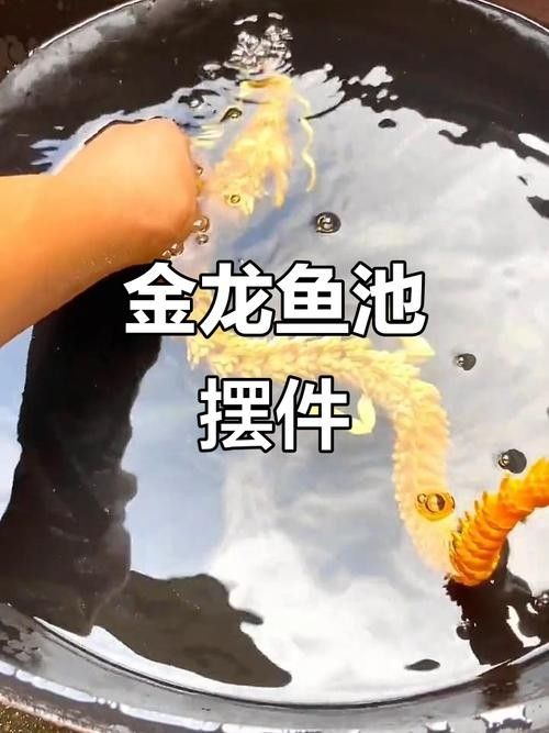 金龍魚多久需要加一次鹽？（養金魚多久放一次鹽）