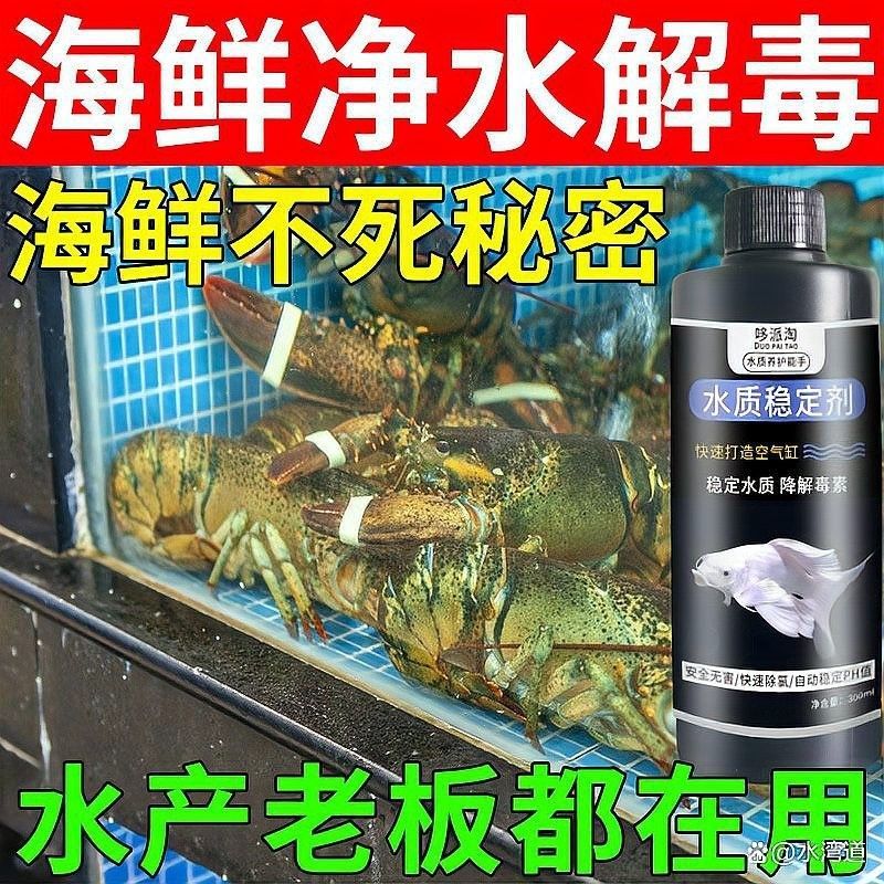 金龍魚多久需要加一次鹽？（養金魚多久放一次鹽）