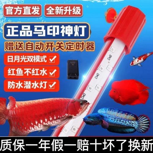 馬印龍魚燈的LED燈管壽命有多長？（太平洋汽車，led燈管使用壽命是多久）