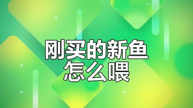 藍(lán)龍魚入缸后多久開始進(jìn)食？（藍(lán)龍魚入缸后的喂食時(shí)間表與常見誤區(qū)全解析） 藍(lán)龍魚入缸后多久開始進(jìn)食？（藍(lán)龍魚入缸后的喂食時(shí)間表與常見誤區(qū)全解析） 龍魚百科 第1張