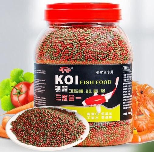 藍龍魚吃什么食物長得快(老農談三農,龍魚各階段如何喂食)