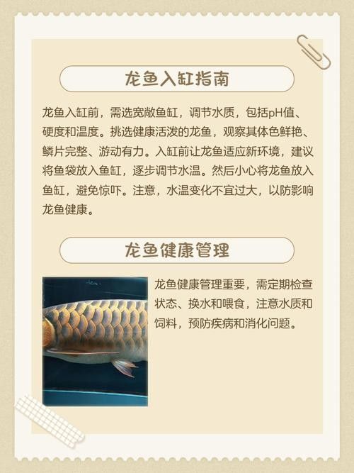 藍龍魚吃什么食物長得快(老農談三農,龍魚各階段如何喂食)