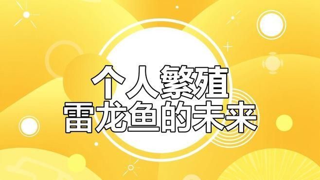 七彩雷龍魚繁殖成功率有多高（七彩雷龍魚的繁殖前景）