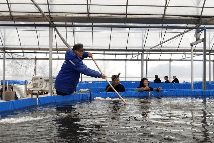 洋浦哪個水族館龍魚好？祥龍魚場龍魚（廣州龍魚祥龍魚場）