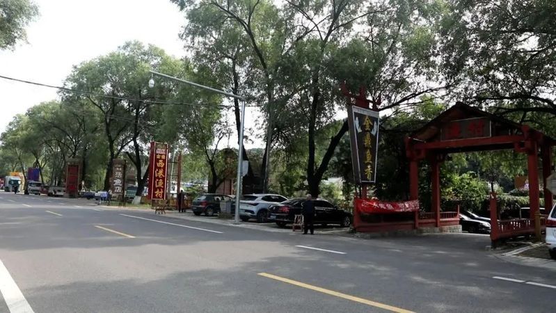 洋浦哪個水族館龍魚好？祥龍魚場龍魚（廣州龍魚祥龍魚場）