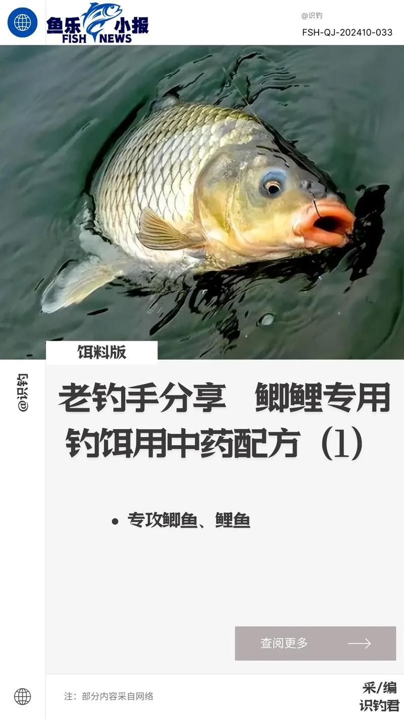 金龍魚餌的使用技巧（金龍魚餌是專為垂釣設(shè)計(jì)的餌料）