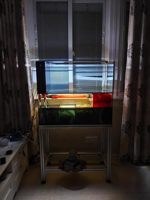 雷龍魚缸過濾系統的價格是多少(雷龍魚缸過濾系統價格是多少?)
