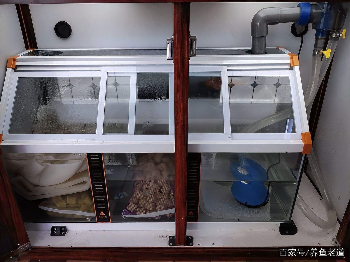 生化過濾層需要多大的空間（生化倉的濾材選擇有哪些標(biāo)準(zhǔn)） 生化過濾層需要多大的空間（生化倉的濾材選擇有哪些標(biāo)準(zhǔn)） 龍魚百科 第3張