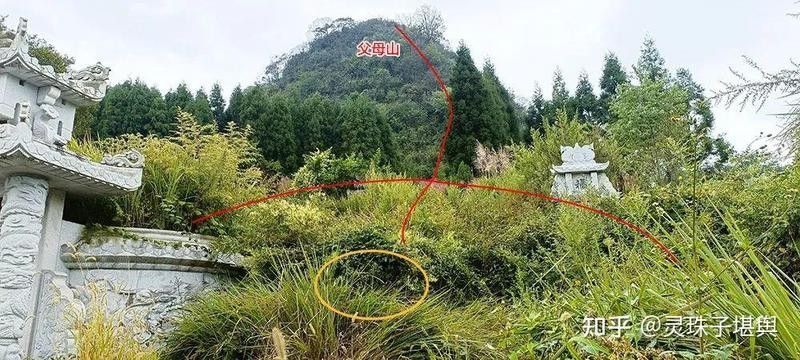 橫龍結穴對家族運勢有何影響（橫龍結穴如何判斷一個地方是否是橫龍結穴的著名案例）