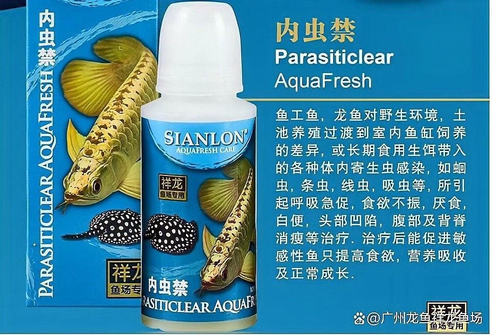 如何預防龍魚感染內寄生蟲？（預防龍魚感染內寄生蟲需從飼養管理、餌料處理、水質維護等多方面綜合施策）
