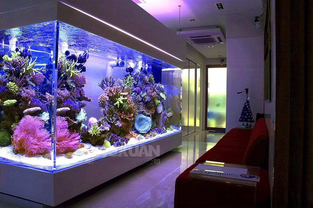 金龍魚缸背景更換步驟（亞克力魚缸定制魚缸背景紙貼法全攻略提升顏值又促進發色鄂本通） 金龍魚缸背景更換步驟（亞克力魚缸定制魚缸背景紙貼法全攻略提升顏值又促進發色鄂本通） 龍魚百科 第4張