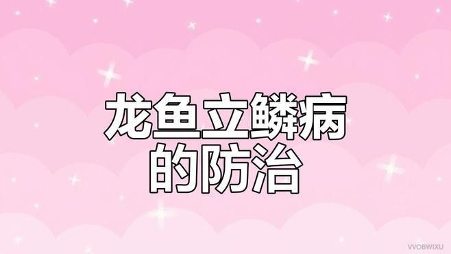 龍魚冷水飼養有哪些長期風險（如何預防養魚小藝龍魚能冷水養嗎） 龍魚冷水飼養有哪些長期風險（如何預防養魚小藝龍魚能冷水養嗎） 龍魚百科 第3張