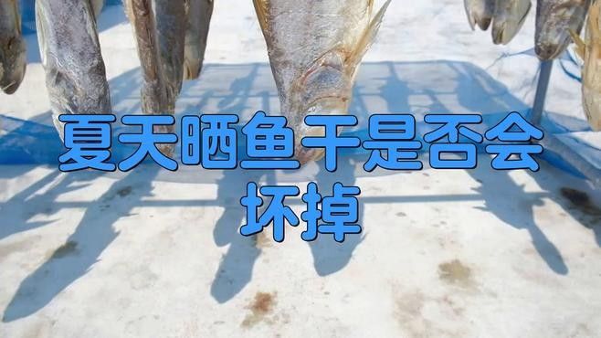 海龍魚干如何保存最佳？（海龍魚干保存方法）