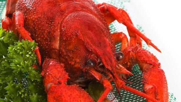 海龍魚干如何保存最佳？（海龍魚干保存方法）
