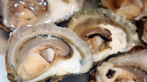 海龍魚干如何保存最佳？（海龍魚干保存方法）