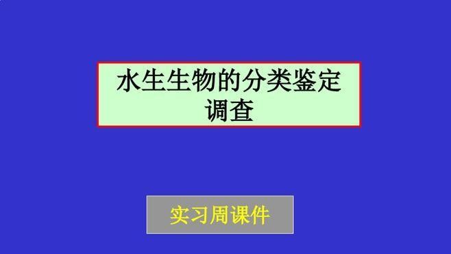 如何判斷黑龍魚是否健康？（判斷黑龍魚是否健康需綜合觀察其行為、體表特征、攝食狀態及水質環境）