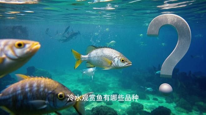 哪些龍魚品種可以冷水飼養？（龍魚品種及飼養建議：青龍魚（綠龍魚）可適應較低水溫的龍魚品種） 哪些龍魚品種可以冷水飼養？（龍魚品種及飼養建議：青龍魚（綠龍魚）可適應較低水溫的龍魚品種） 龍魚百科 第3張