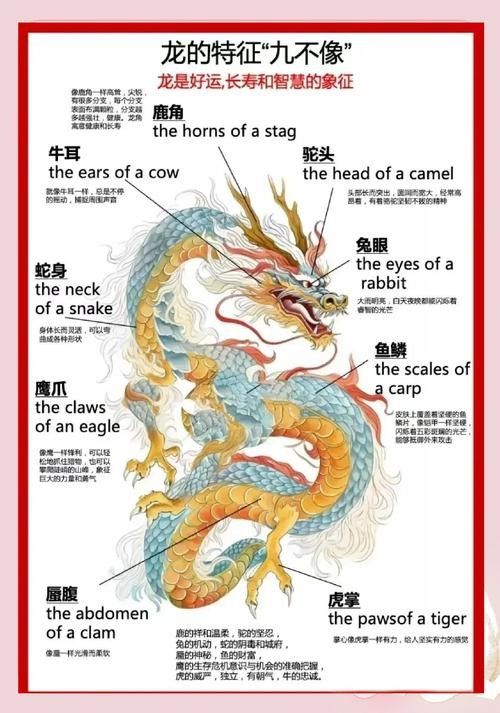 瑰寶龍中哪些品種比較稀有？（瑰寶龍中哪個品種升值潛力最大？）
