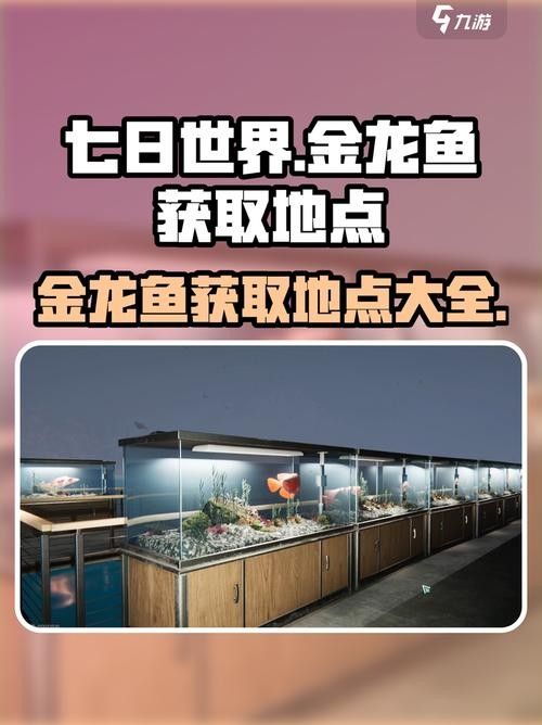 如何獲取金龍魚的積分？（七日世界金龍魚怎么獲取）