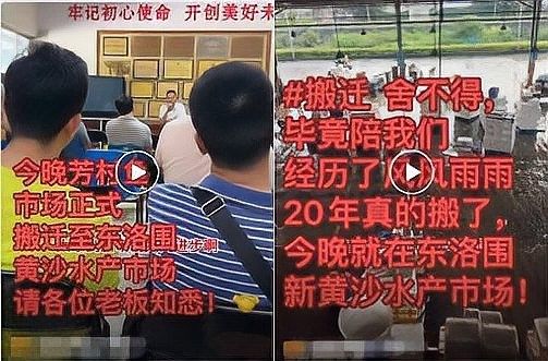 廣州龍魚批發(fā)市場(chǎng)有哪些知名的商家（廣州最大花鳥魚蟲市場(chǎng)在哪觀賞魚價(jià)格如此便宜） 廣州龍魚批發(fā)市場(chǎng)有哪些知名的商家（廣州最大花鳥魚蟲市場(chǎng)在哪觀賞魚價(jià)格如此便宜） 龍魚百科 第5張