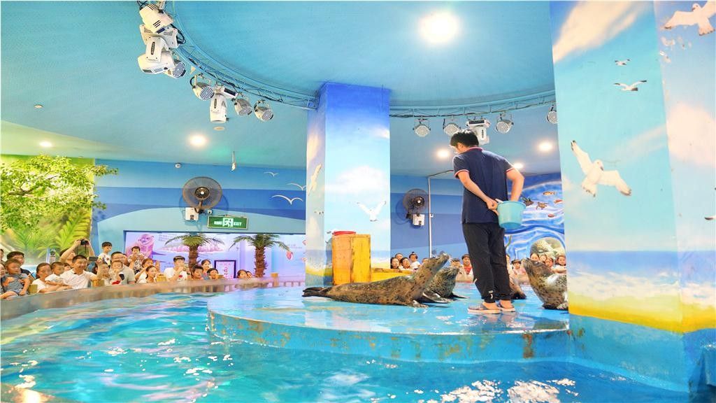 <strong><mark>中原</mark></strong>哪個(gè)水族館龍魚好？祥龍魚場(chǎng)龍魚（<strong><mark>中原</mark></strong>區(qū)水族館、龍魚養(yǎng)殖場(chǎng)）