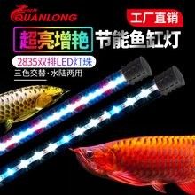 金龍魚燈哪個品牌好？（——龍魚燈品牌排行榜京東龍魚水族燈品牌排行榜） 金龍魚燈哪個品牌好？（——龍魚燈品牌排行榜京東龍魚水族燈品牌排行榜） 龍魚百科 第7張