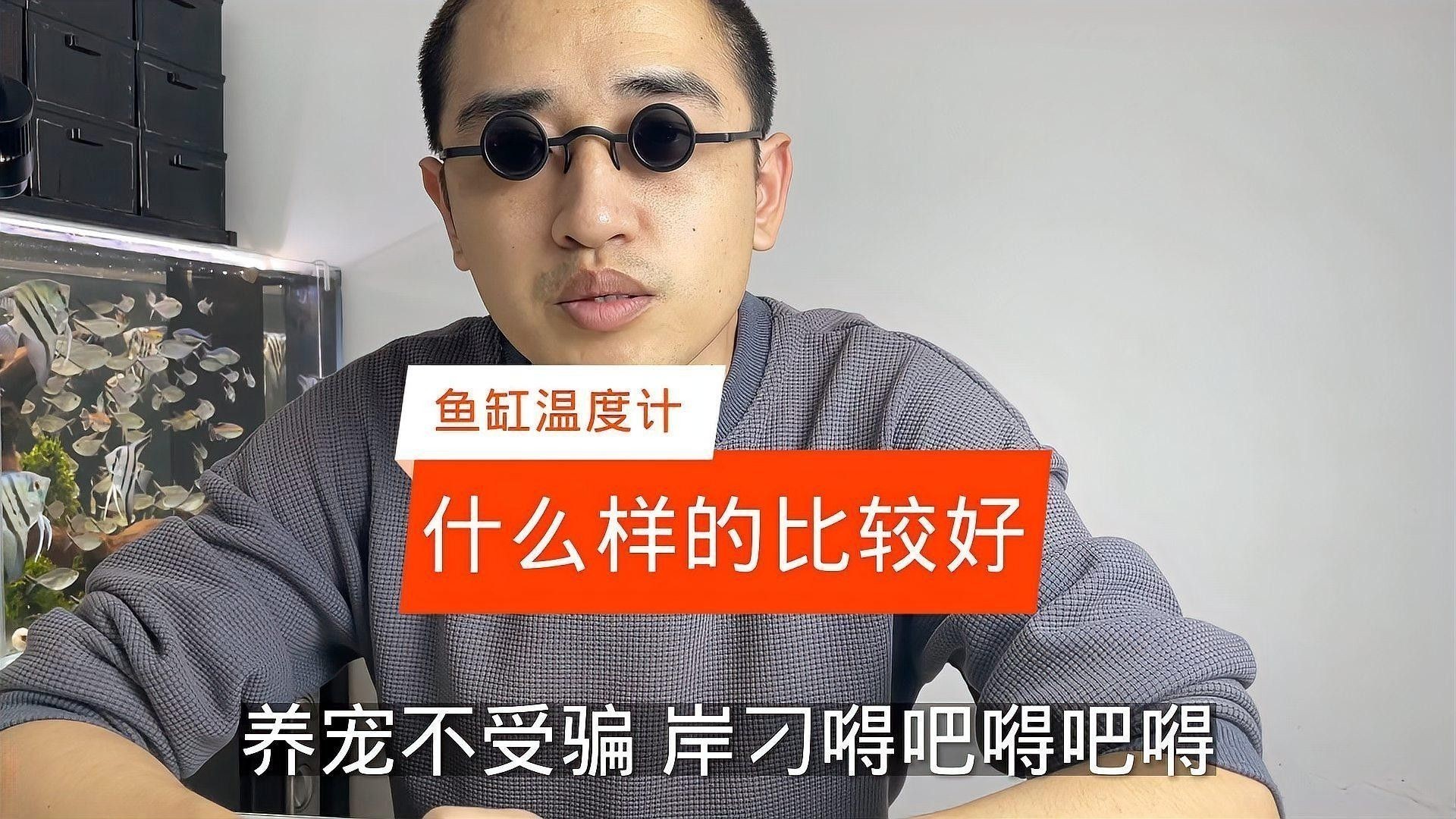 龍魚溫度計哪個品牌好（魚缸溫度計哪個品牌好） 龍魚溫度計哪個品牌好（魚缸溫度計哪個品牌好） 龍魚百科 第2張