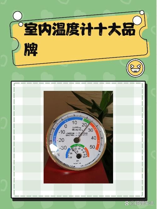 龍魚溫度計哪個品牌好（魚缸溫度計哪個品牌好） 龍魚溫度計哪個品牌好（魚缸溫度計哪個品牌好） 龍魚百科 第7張