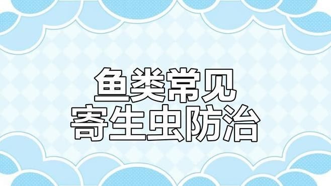養(yǎng)魚必備殺蟲藥，三大類全解析[emoji]2728[/emoji]：養(yǎng)魚必備殺蟲藥,三大類全解析