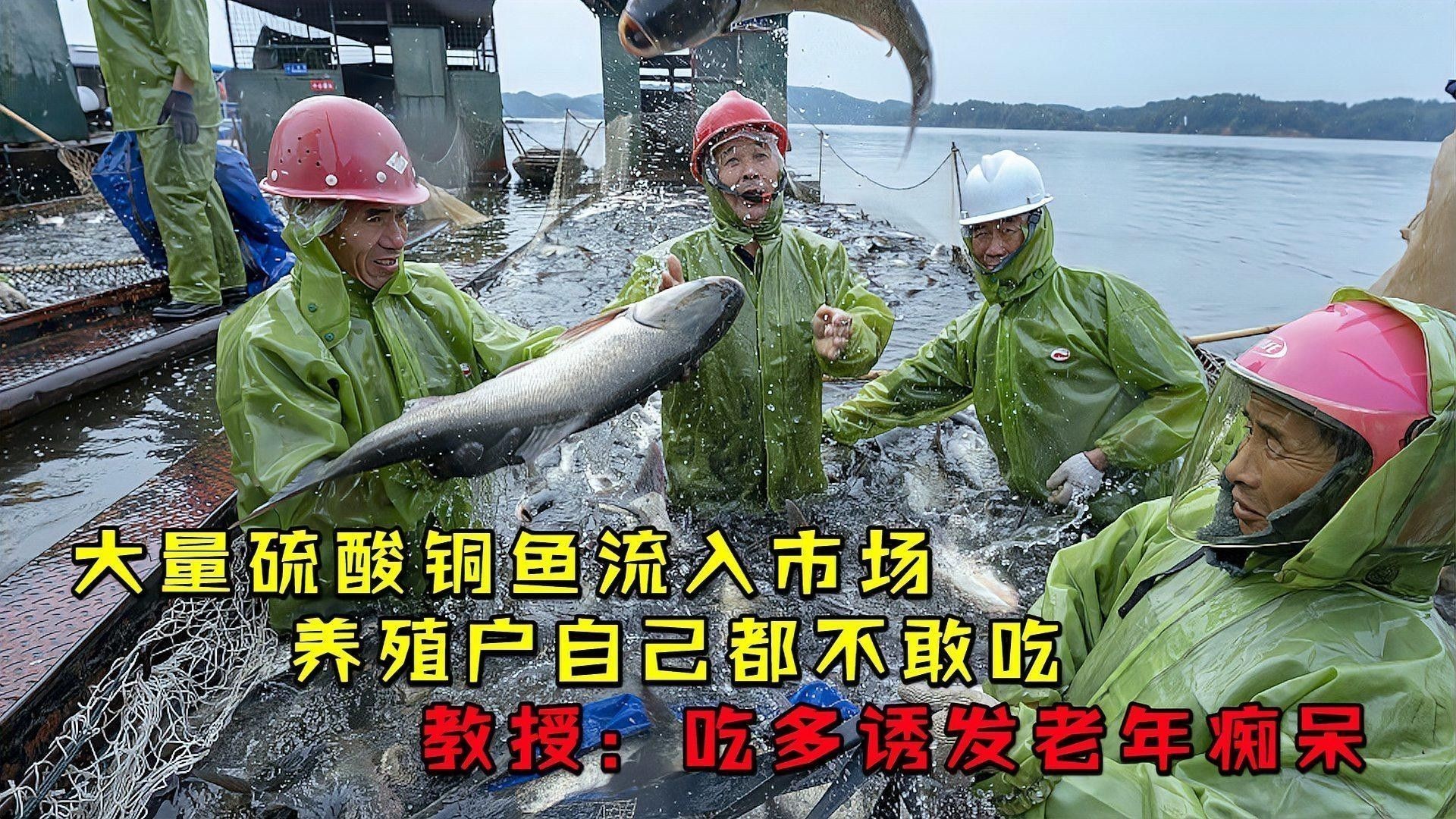養(yǎng)魚必備殺蟲藥，三大類全解析[emoji]2728[/emoji]：養(yǎng)魚必備殺蟲藥,三大類全解析