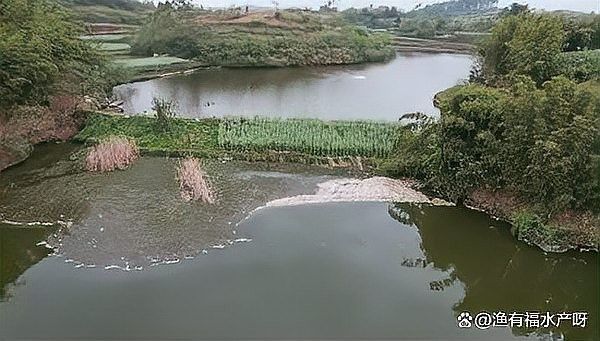 養(yǎng)魚必備殺蟲藥，三大類全解析[emoji]2728[/emoji]：養(yǎng)魚必備殺蟲藥,三大類全解析