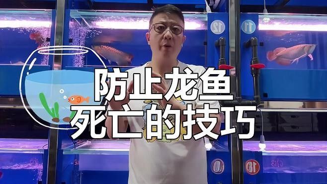 龍魚(yú)橫漂后存活時(shí)間取決于具體病因和環(huán)境干預(yù)措施是關(guān)鍵因素分析：龍魚(yú)出現(xiàn)橫漂后的存活時(shí)間取決于具體病因和環(huán)境干預(yù)措施 龍魚(yú)橫漂后存活時(shí)間取決于具體病因和環(huán)境干預(yù)措施是關(guān)鍵因素分析：龍魚(yú)出現(xiàn)橫漂后的存活時(shí)間取決于具體病因和環(huán)境干預(yù)措施 龍魚(yú)百科 第1張