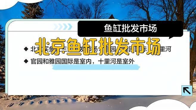 北京觀賞魚市場哪個最大最便宜：北京水族市場