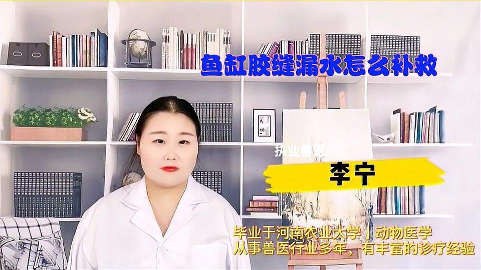 魚缸漏水怎么補救：金九龍魚缸漏水二次補膠曠野營地指南魚缸漏水修復全攻略