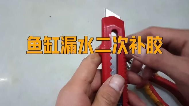 魚缸漏水怎么補救：金九龍魚缸漏水二次補膠曠野營地指南魚缸漏水修復全攻略