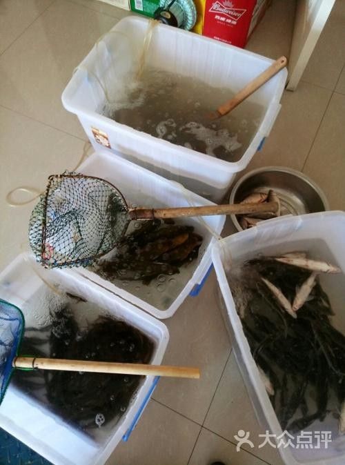 齊齊哈爾市小黑龍魚館的包間可通過以下方式操作：絕絕子：齊齊哈爾小黑龍魚館 齊齊哈爾市小黑龍魚館的包間可通過以下方式操作：絕絕子：齊齊哈爾小黑龍魚館 龍魚百科 第6張