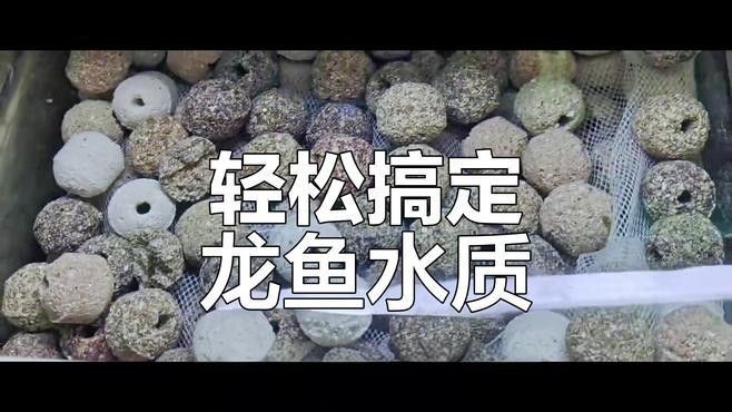 龍魚濾材需兼顧物理過濾、化學過濾和生物過濾和生物過濾三大功能：農情萬家，養(yǎng)龍魚濾材組合使用方法