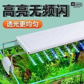 龍魚燈管的更換頻率需根據(jù)燈管類型、使用時(shí)長及光衰情況綜合判斷：——龍魚燈光選擇與使用詳解 龍魚燈管的更換頻率需根據(jù)燈管類型、使用時(shí)長及光衰情況綜合判斷：——龍魚燈光選擇與使用詳解 龍魚百科 第9張