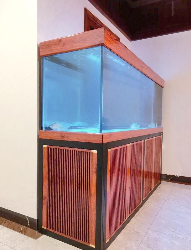挑選龍魚魚缸需綜合考慮尺寸、設計、水質適配性及功能性及功能性：養龍魚，選多大缸才合適 挑選龍魚魚缸需綜合考慮尺寸、設計、水質適配性及功能性及功能性：養龍魚，選多大缸才合適 龍魚百科 第6張