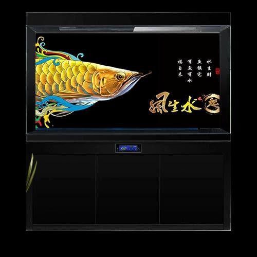 挑選龍魚魚缸需綜合考慮尺寸、設計、水質適配性及功能性及功能性：養龍魚，選多大缸才合適 挑選龍魚魚缸需綜合考慮尺寸、設計、水質適配性及功能性及功能性：養龍魚，選多大缸才合適 龍魚百科 第1張