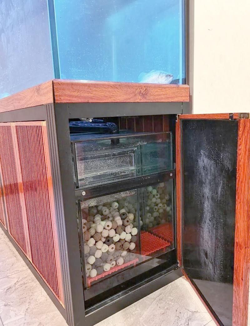 挑選龍魚魚缸需綜合考慮尺寸、設計、水質適配性及功能性及功能性：養龍魚，選多大缸才合適 挑選龍魚魚缸需綜合考慮尺寸、設計、水質適配性及功能性及功能性：養龍魚，選多大缸才合適 龍魚百科 第2張