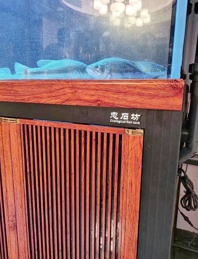挑選龍魚魚缸需綜合考慮尺寸、設計、水質適配性及功能性及功能性：養龍魚，選多大缸才合適 挑選龍魚魚缸需綜合考慮尺寸、設計、水質適配性及功能性及功能性：養龍魚，選多大缸才合適 龍魚百科 第3張